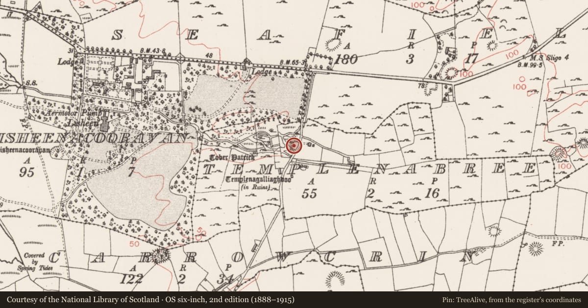 Ordnance Survey six-inch map, 2nd edition (1888–1915) covering the location of Ringfort - unclassified, Templenabree, County Sligo, with a pin at the register's coordinates
