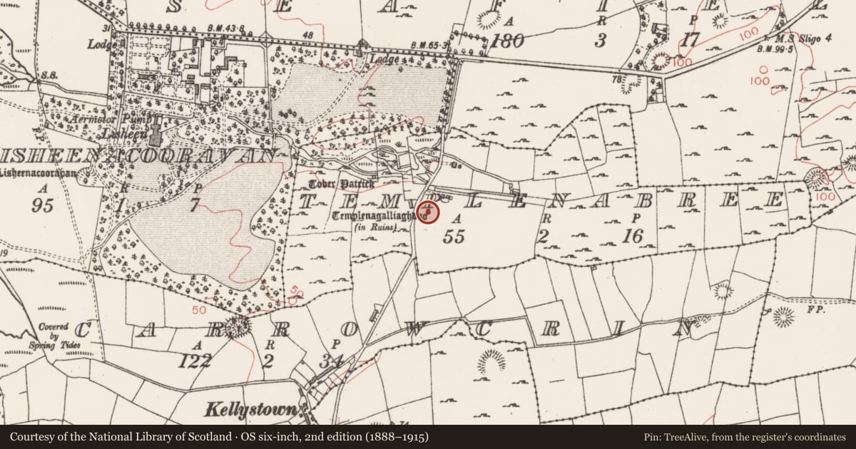 Ordnance Survey six-inch map, 2nd edition (1888–1915) covering the location of Religious house - unclassified, Templenabree, County Sligo, with a pin at the register's coordinates