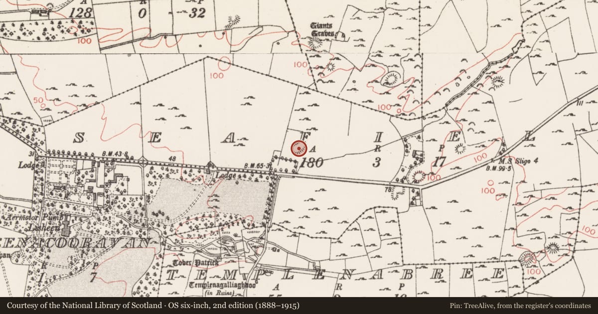Ordnance Survey six-inch map, 2nd edition (1888–1915) covering the location of Ringfort - cashel, Seafield, County Sligo, with a pin at the register's coordinates