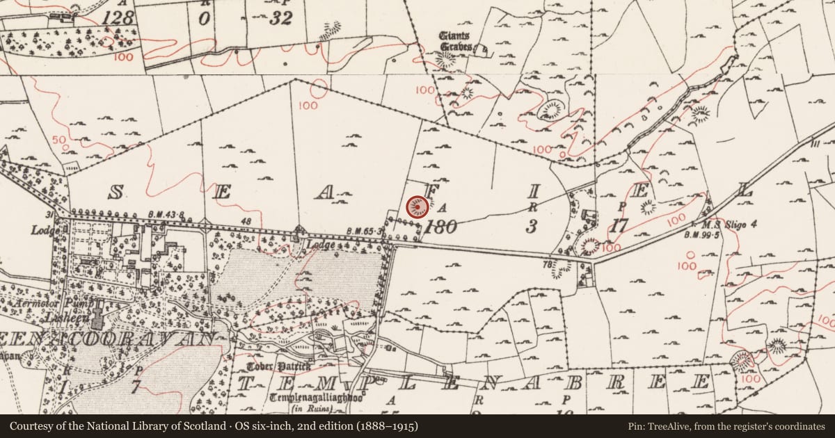 Ordnance Survey six-inch map, 2nd edition (1888–1915) covering the location of Souterrain, Seafield, County Sligo, with a pin at the register's coordinates