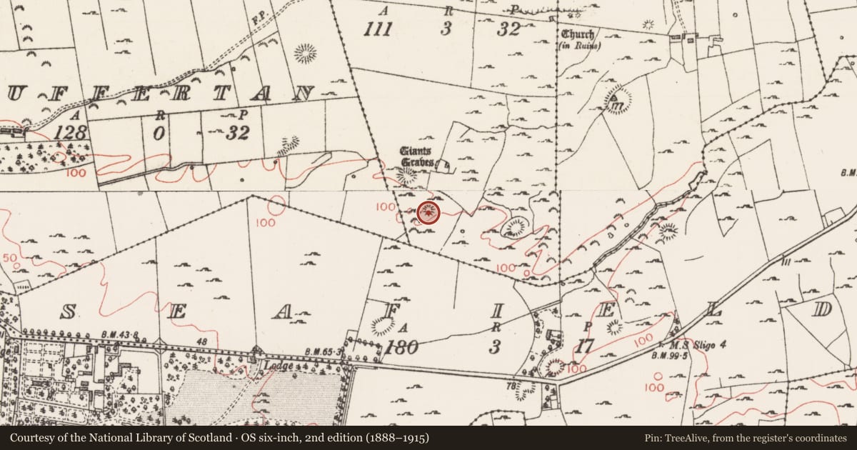 Ordnance Survey six-inch map, 2nd edition (1888–1915) covering the location of Enclosure, Primrosegrange, County Sligo, with a pin at the register's coordinates