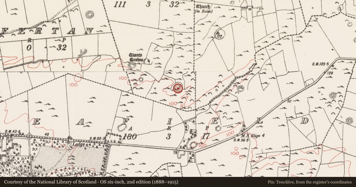 Ordnance Survey six-inch map, 2nd edition (1888–1915) covering the location of Souterrain, Primrosegrange, County Sligo, with a pin at the register's coordinates