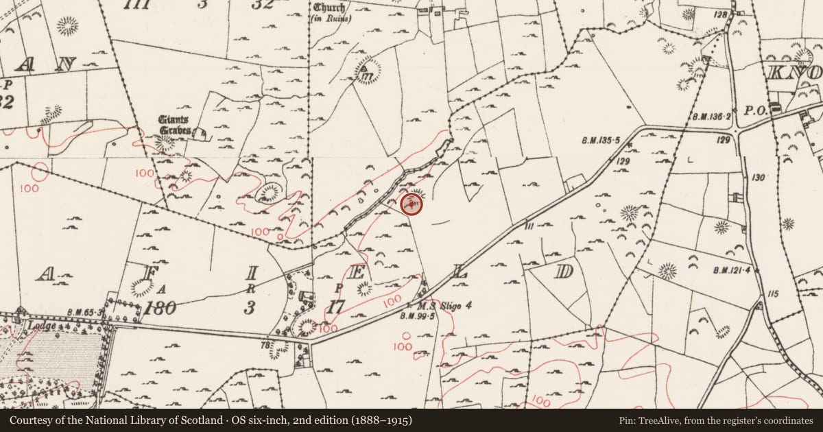 Ordnance Survey six-inch map, 2nd edition (1888–1915) covering the location of Souterrain, Seafield, County Sligo, with a pin at the register's coordinates