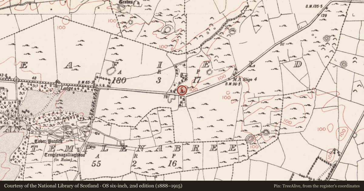 Ordnance Survey six-inch map, 2nd edition (1888–1915) covering the location of Ringfort - rath, Seafield, County Sligo, with a pin at the register's coordinates