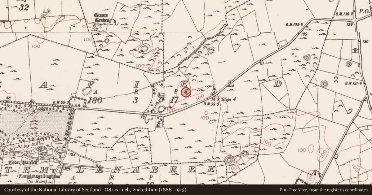 Ordnance Survey six-inch map, 2nd edition (1888–1915) covering the location of Enclosure, Seafield, County Sligo, with a pin at the register's coordinates