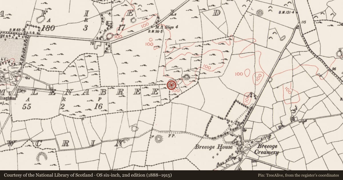 Ordnance Survey six-inch map, 2nd edition (1888–1915) covering the location of Ringfort - rath, Seafield, County Sligo, with a pin at the register's coordinates