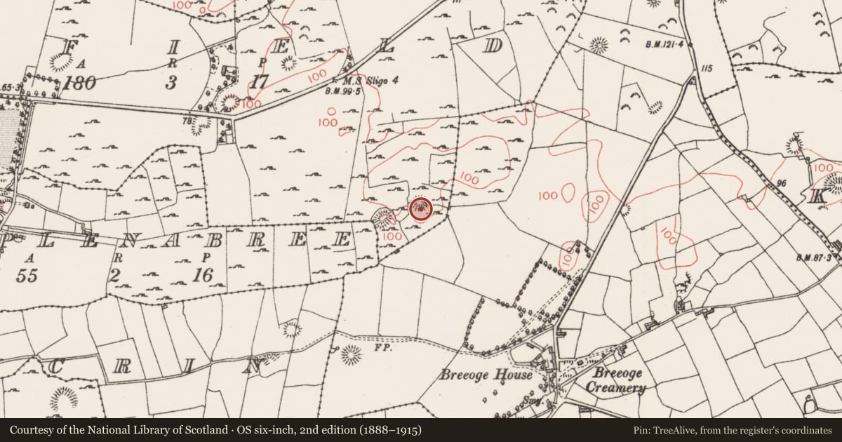 Ordnance Survey six-inch map, 2nd edition (1888–1915) covering the location of Ringfort - rath, Seafield, County Sligo, with a pin at the register's coordinates