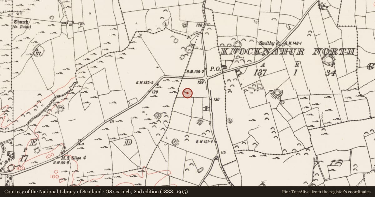 Ordnance Survey six-inch map, 2nd edition (1888–1915) covering the location of Cairn - unclassified, Breeoge, County Sligo, with a pin at the register's coordinates