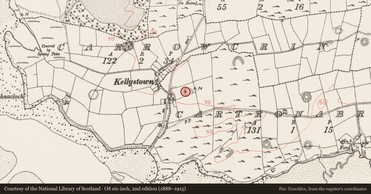 Ordnance Survey six-inch map, 2nd edition (1888–1915) covering the location of Ringfort - rath, Cartronabree, County Sligo, with a pin at the register's coordinates
