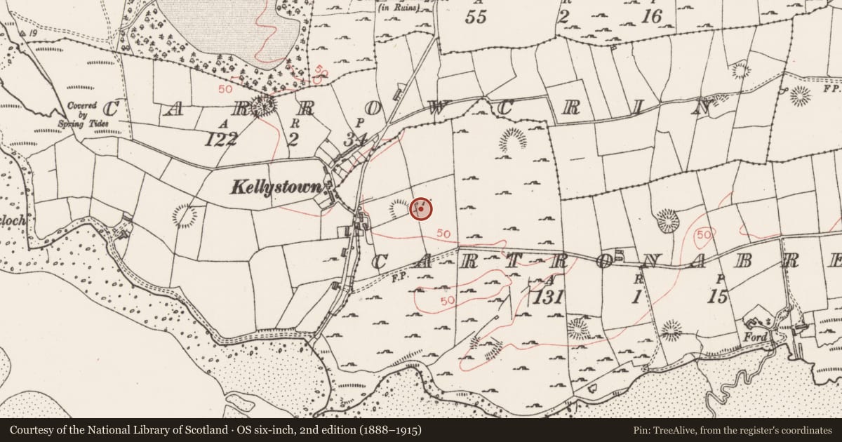Ordnance Survey six-inch map, 2nd edition (1888–1915) covering the location of Ringfort - unclassified, Cartronabree, County Sligo, with a pin at the register's coordinates