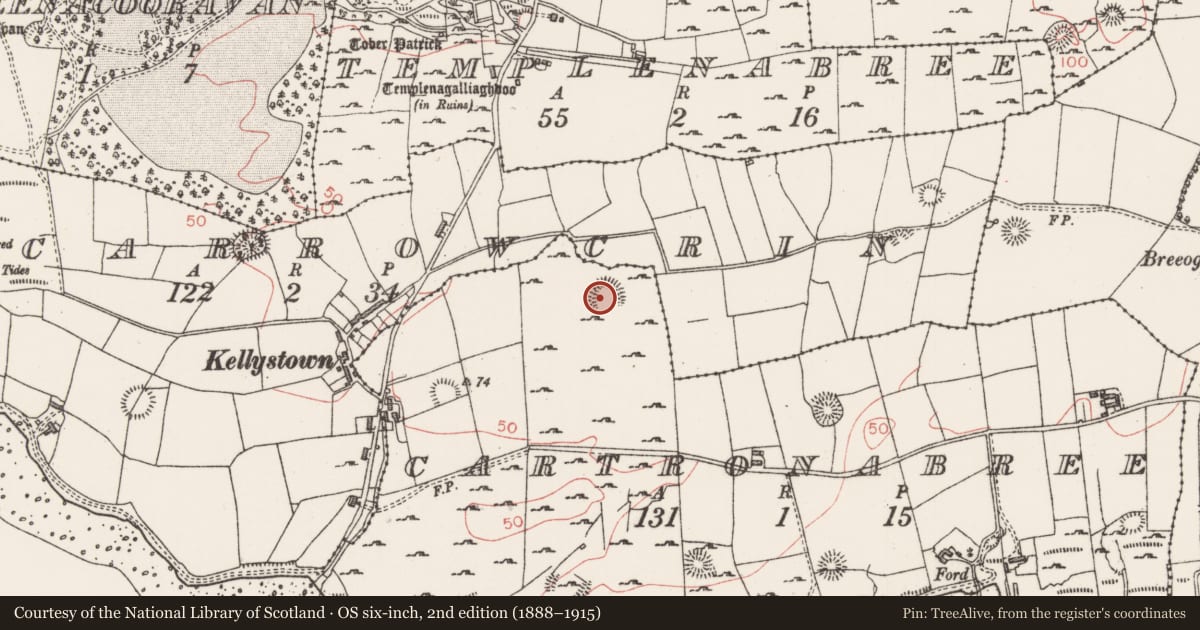 Ordnance Survey six-inch map, 2nd edition (1888–1915) covering the location of Ringfort - rath, Cartronabree, County Sligo, with a pin at the register's coordinates