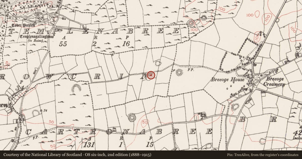 Ordnance Survey six-inch map, 2nd edition (1888–1915) covering the location of Ringfort - rath, Carrowcrin, County Sligo, with a pin at the register's coordinates