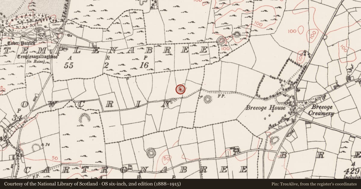 Ordnance Survey six-inch map, 2nd edition (1888–1915) covering the location of Ringfort - unclassified, Carrowcrin, County Sligo, with a pin at the register's coordinates