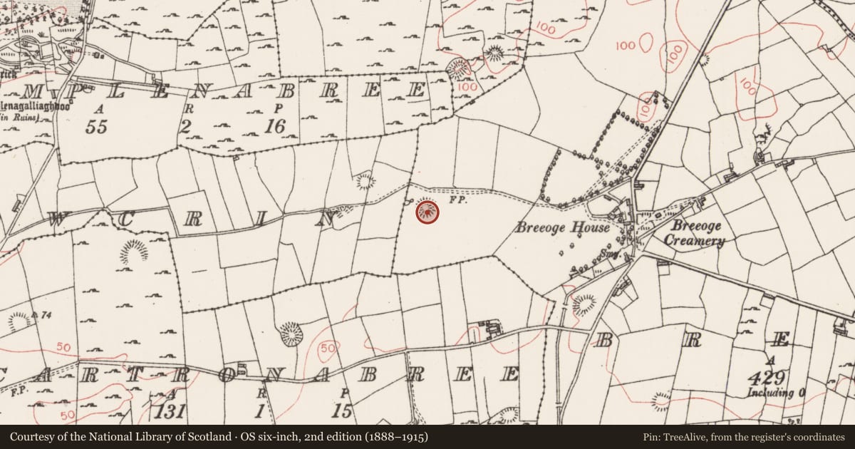 Ordnance Survey six-inch map, 2nd edition (1888–1915) covering the location of Ringfort - rath, Breeoge, County Sligo, with a pin at the register's coordinates