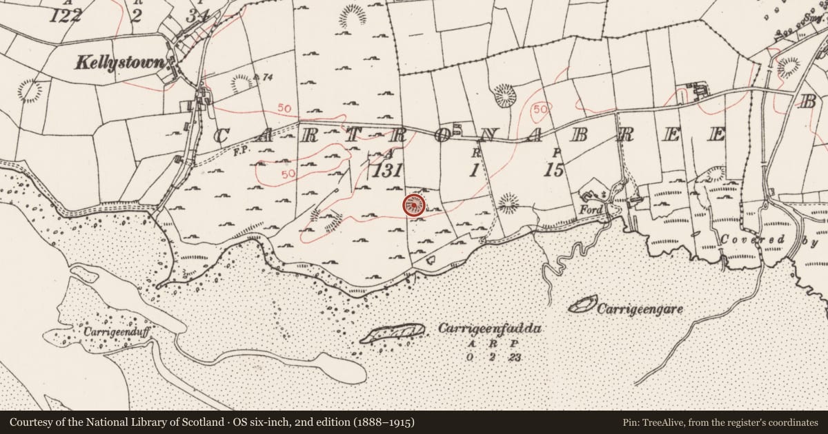 Ordnance Survey six-inch map, 2nd edition (1888–1915) covering the location of Souterrain, Cartronabree, County Sligo, with a pin at the register's coordinates