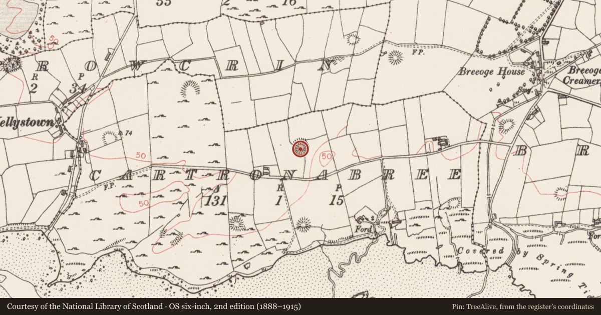Ordnance Survey six-inch map, 2nd edition (1888–1915) covering the location of Ringfort - rath, Cartronabree, County Sligo, with a pin at the register's coordinates