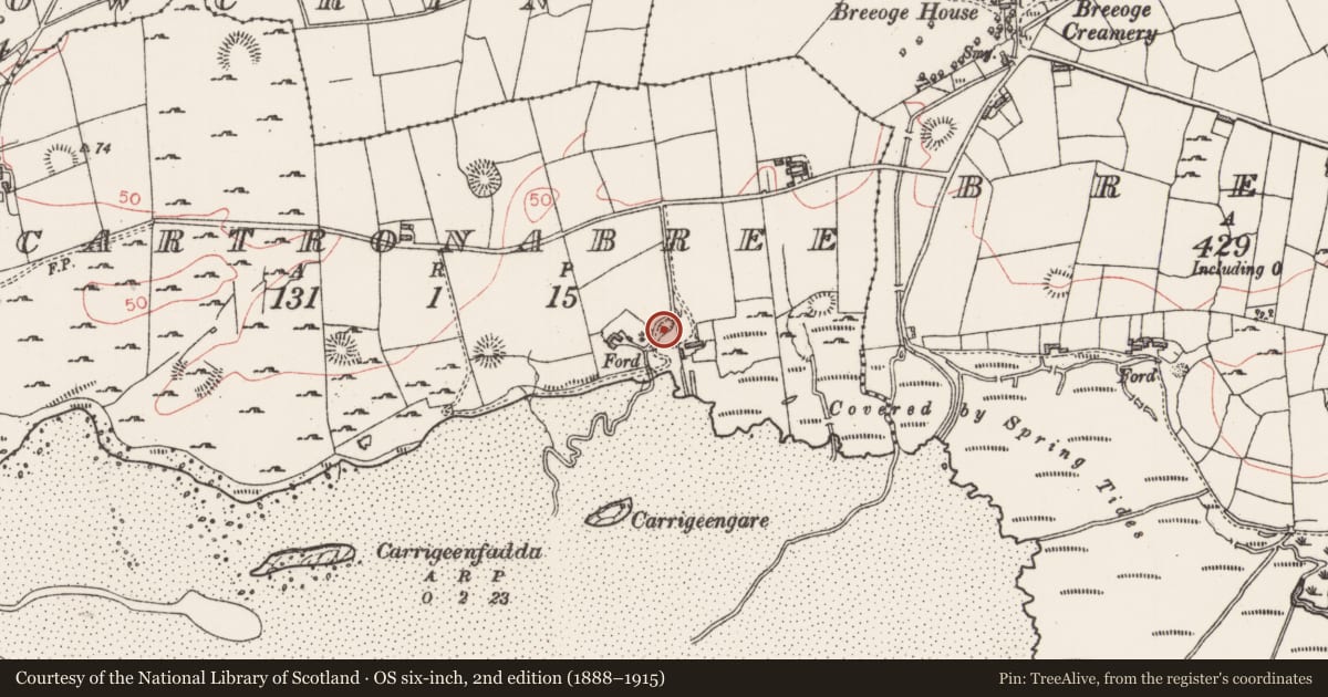 Ordnance Survey six-inch map, 2nd edition (1888–1915) covering the location of Ringfort - unclassified, Cartronabree, County Sligo, with a pin at the register's coordinates