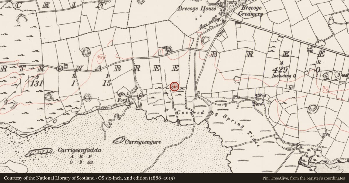 Ordnance Survey six-inch map, 2nd edition (1888–1915) covering the location of Souterrain, Cartronabree, County Sligo, with a pin at the register's coordinates
