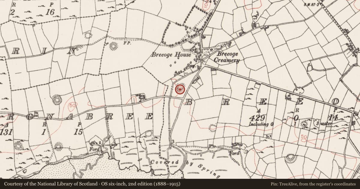 Ordnance Survey six-inch map, 2nd edition (1888–1915) covering the location of Ringfort - rath, Breeoge, County Sligo, with a pin at the register's coordinates