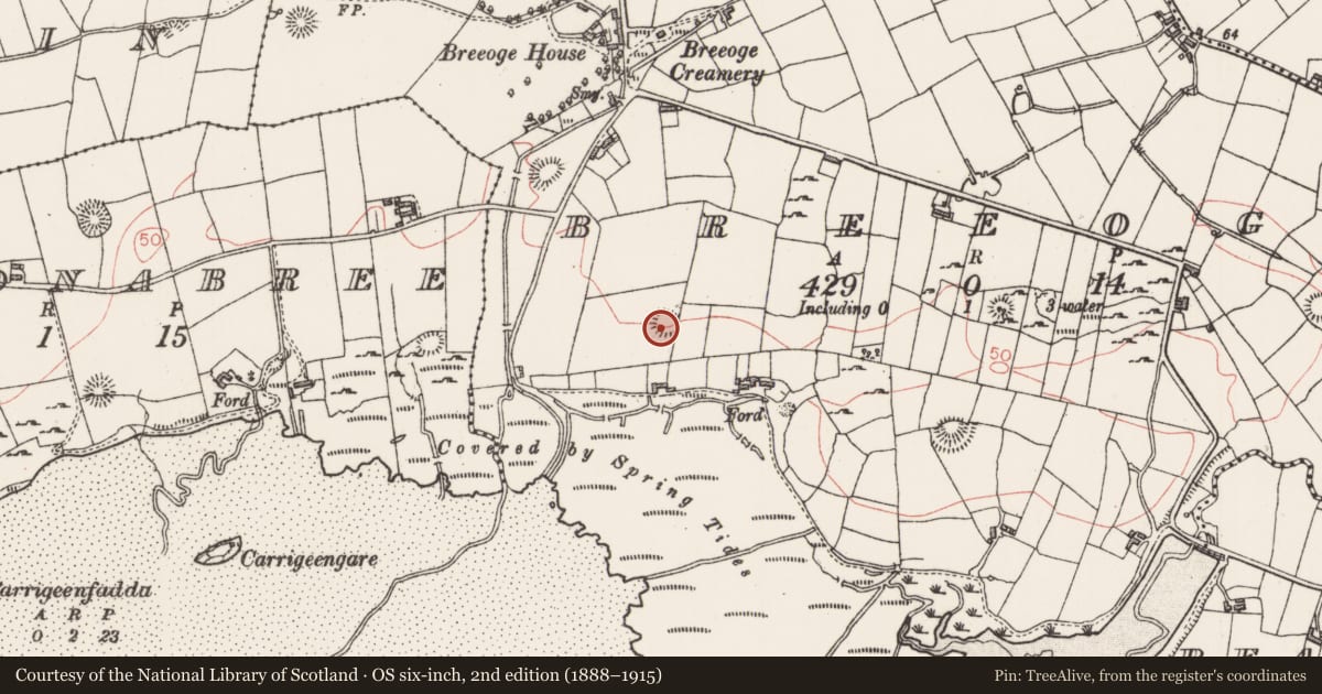 Ordnance Survey six-inch map, 2nd edition (1888–1915) covering the location of Ringfort - rath, Breeoge, County Sligo, with a pin at the register's coordinates