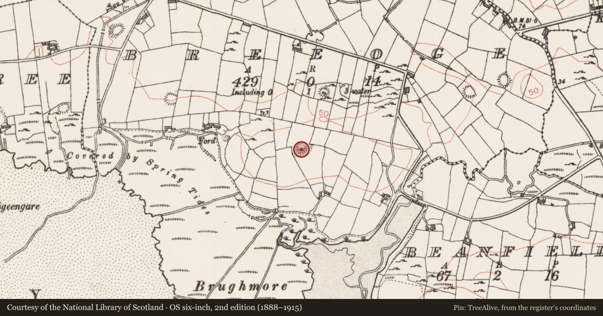Ordnance Survey six-inch map, 2nd edition (1888–1915) covering the location of Ringfort - rath, Breeoge, County Sligo, with a pin at the register's coordinates