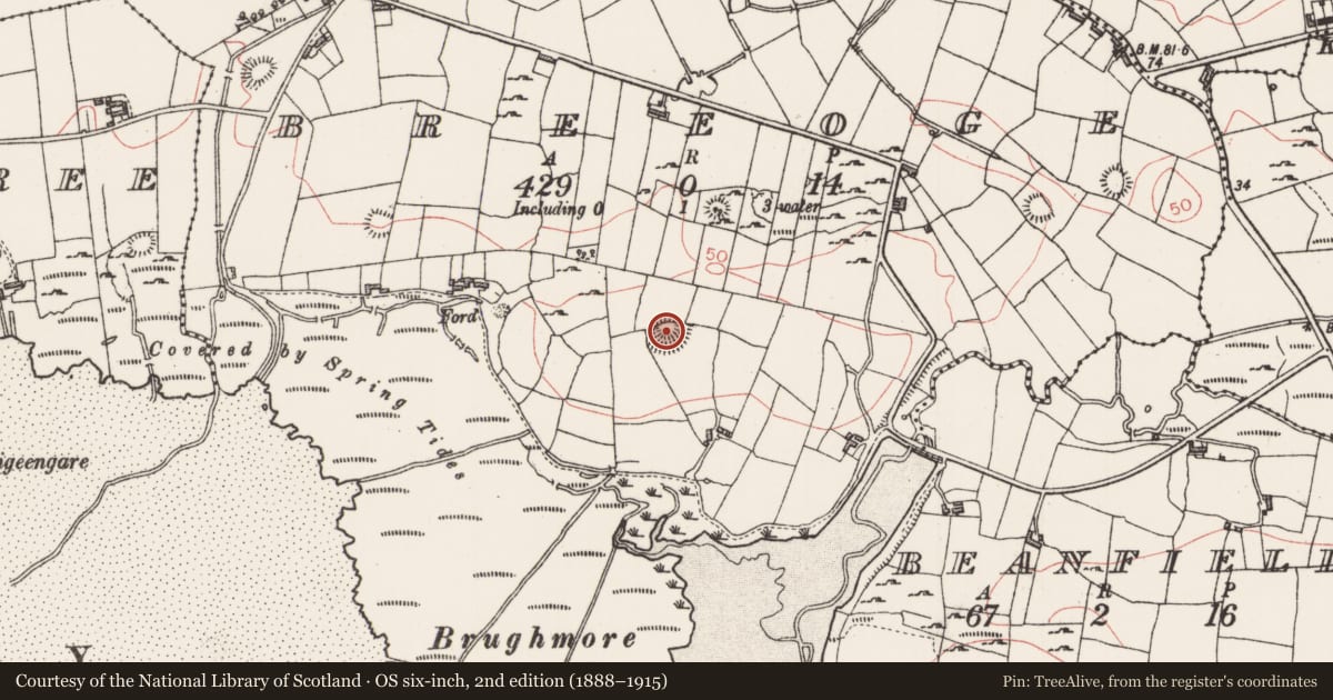 Ordnance Survey six-inch map, 2nd edition (1888–1915) covering the location of Midden, Breeoge, County Sligo, with a pin at the register's coordinates