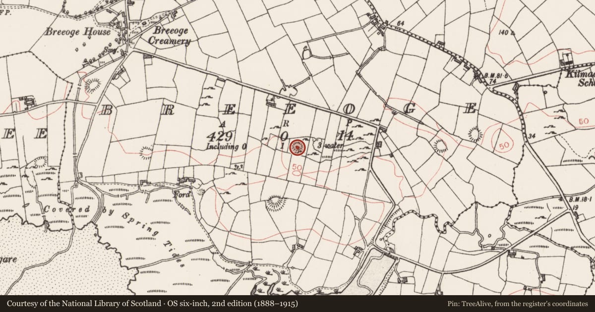 Ordnance Survey six-inch map, 2nd edition (1888–1915) covering the location of Ringfort - cashel, Breeoge, County Sligo, with a pin at the register's coordinates