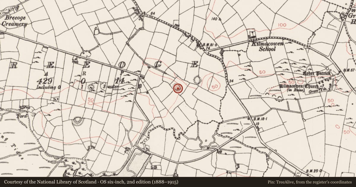Ordnance Survey six-inch map, 2nd edition (1888–1915) covering the location of Ringfort - unclassified, Breeoge, County Sligo, with a pin at the register's coordinates
