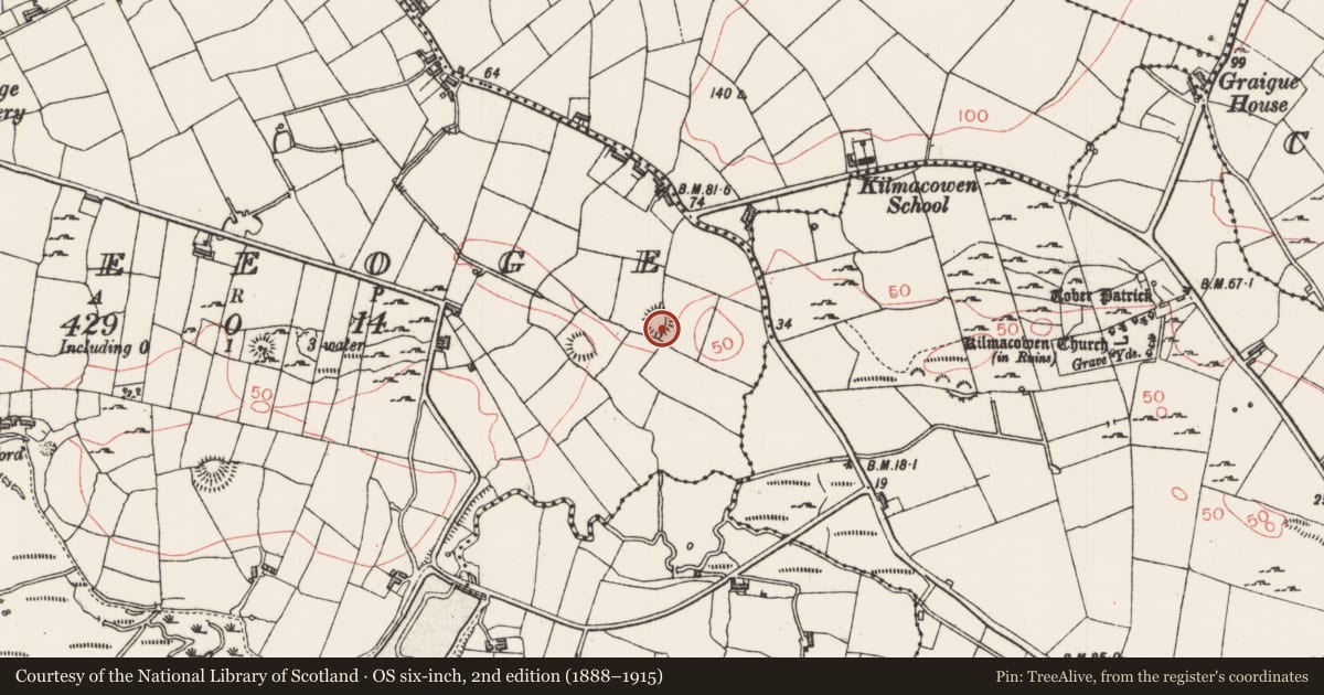 Ordnance Survey six-inch map, 2nd edition (1888–1915) covering the location of Ringfort - unclassified, Breeoge, County Sligo, with a pin at the register's coordinates
