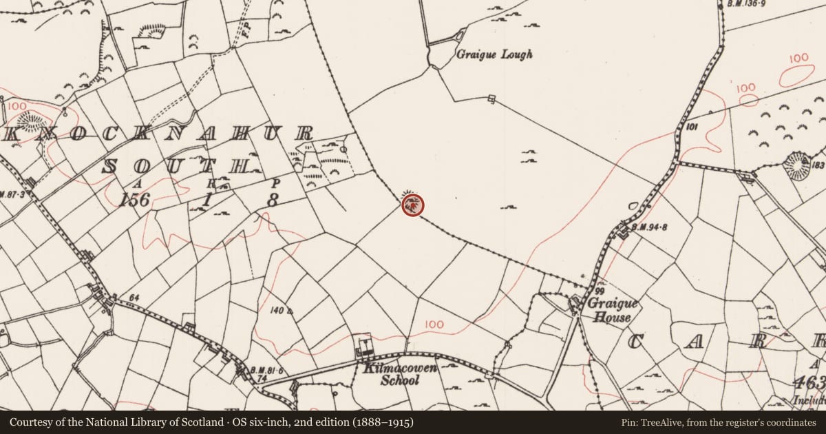 Ordnance Survey six-inch map, 2nd edition (1888–1915) covering the location of Ringfort - rath, Graigue, County Sligo, with a pin at the register's coordinates