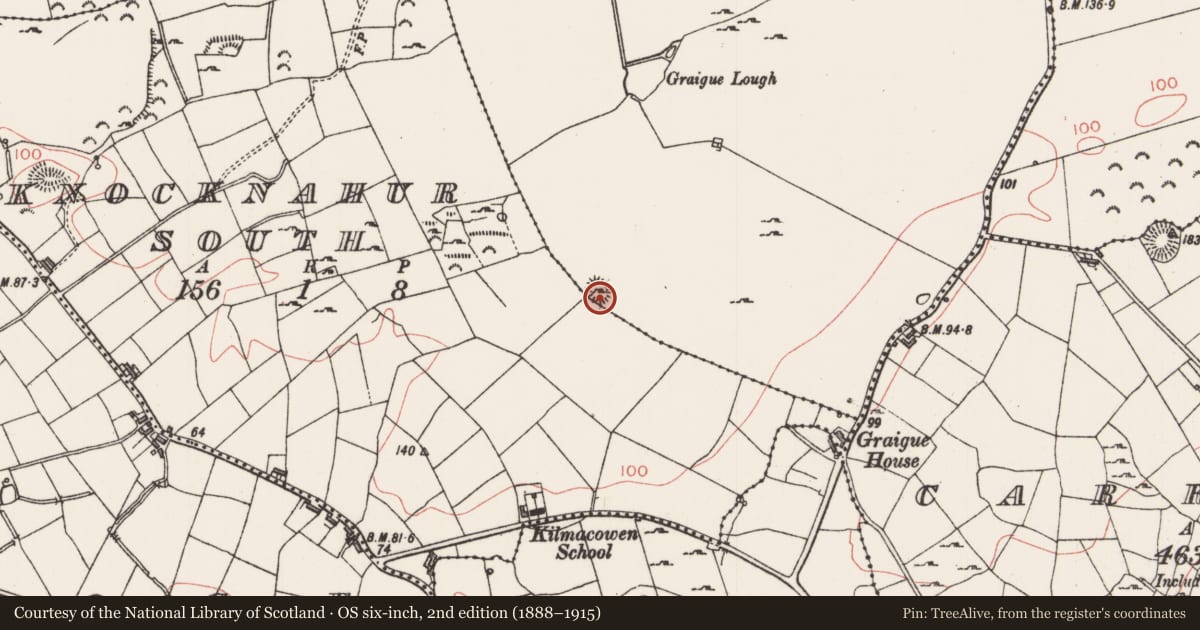 Ordnance Survey six-inch map, 2nd edition (1888–1915) covering the location of Hut site, Graigue, County Sligo, with a pin at the register's coordinates