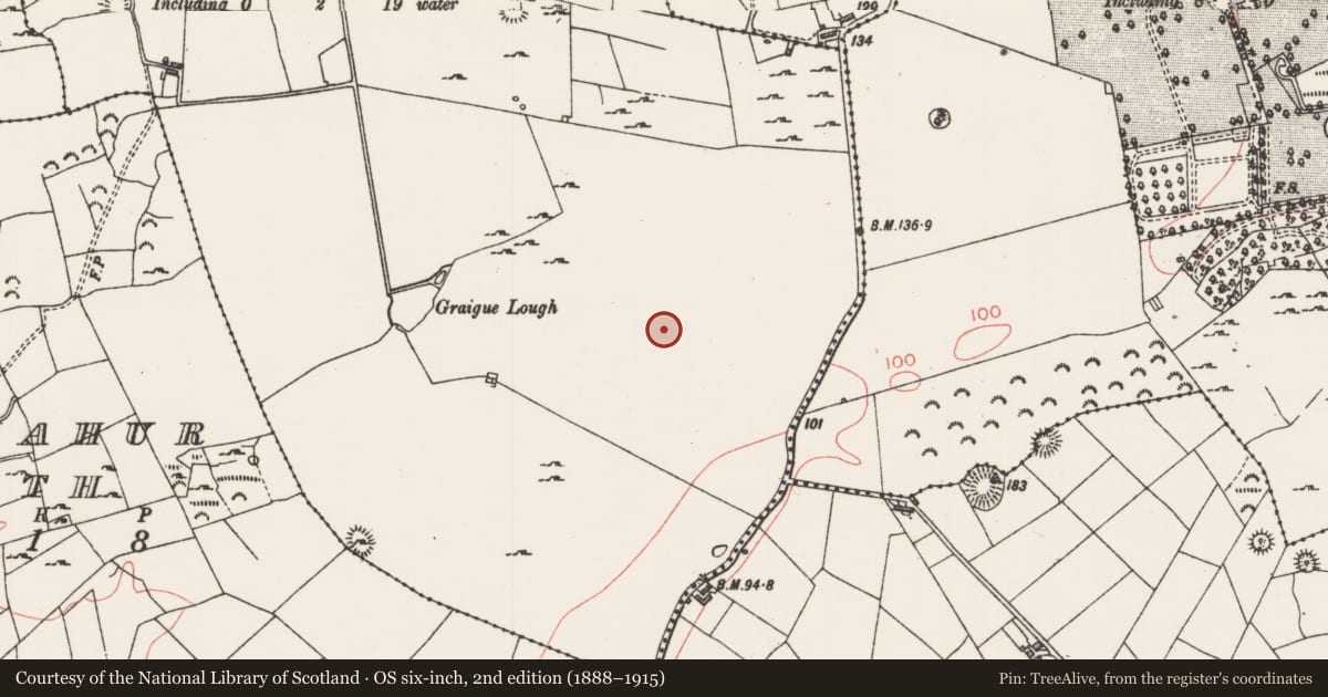 Ordnance Survey six-inch map, 2nd edition (1888–1915) covering the location of Ringfort - rath, Graigue, County Sligo, with a pin at the register's coordinates