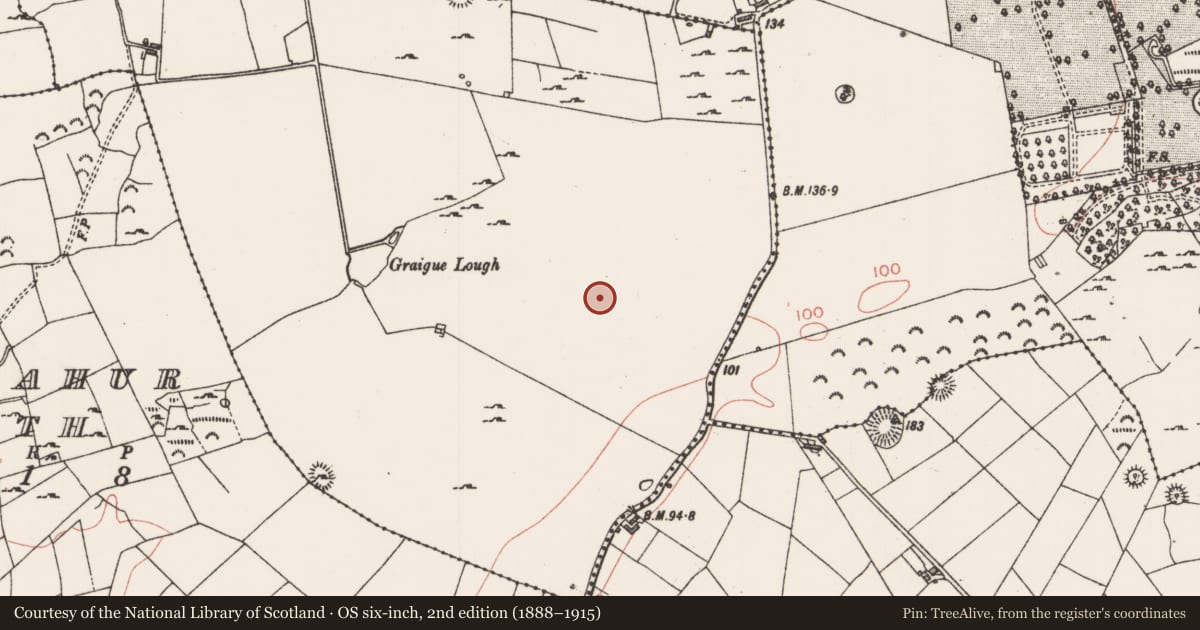 Ordnance Survey six-inch map, 2nd edition (1888–1915) covering the location of Field boundary, Graigue, County Sligo, with a pin at the register's coordinates