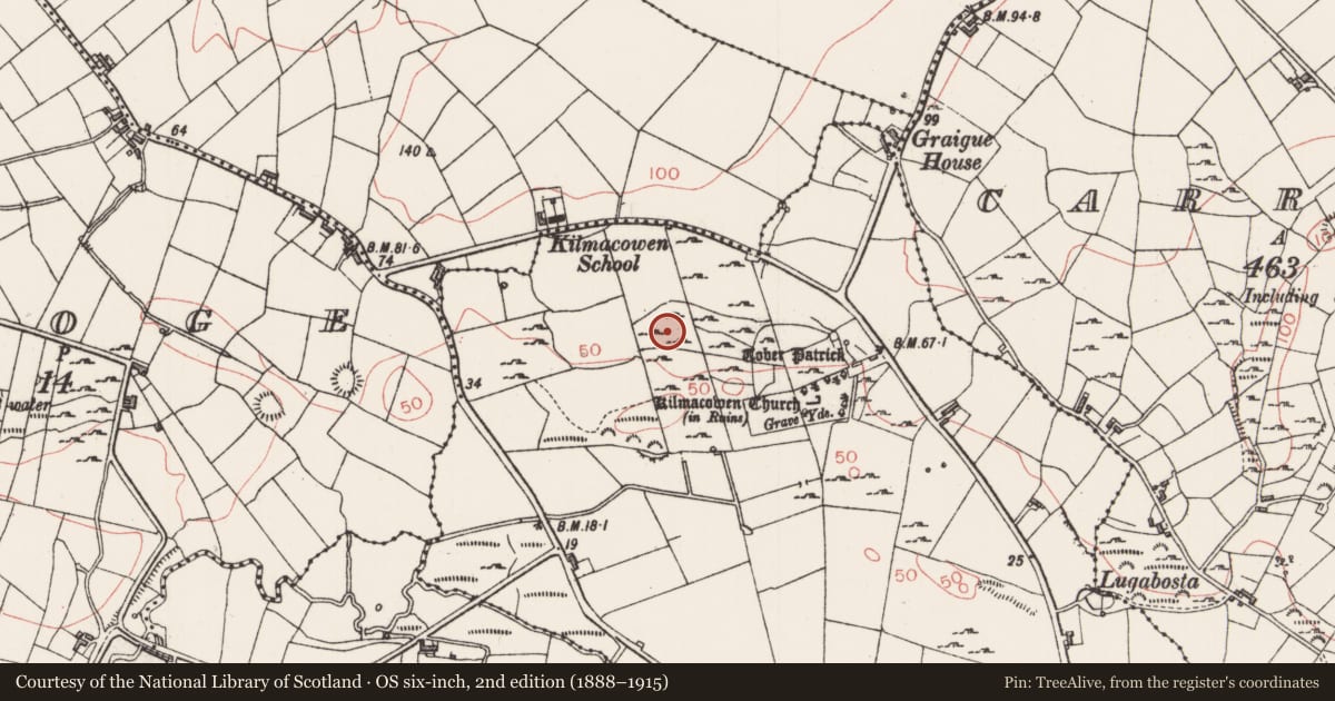 Ordnance Survey six-inch map, 2nd edition (1888–1915) covering the location of Enclosure, Kilmacowen, County Sligo, with a pin at the register's coordinates