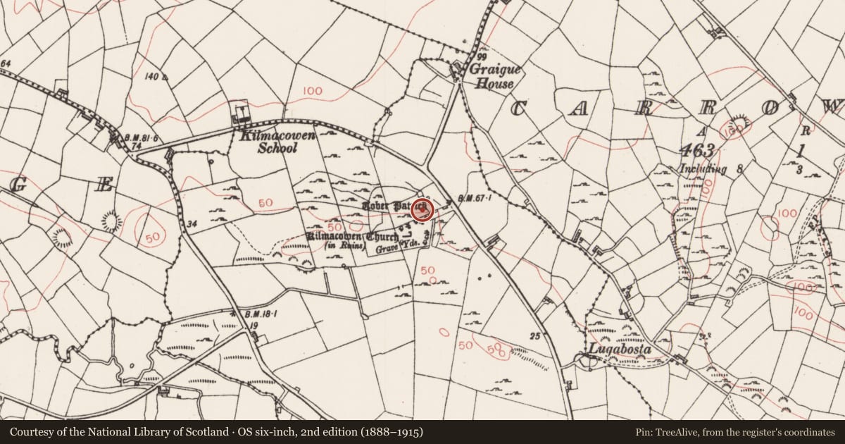 Ordnance Survey six-inch map, 2nd edition (1888–1915) covering the location of Ritual site - holy/saint's stone, Kilmacowen, County Sligo, with a pin at the register's coordinates