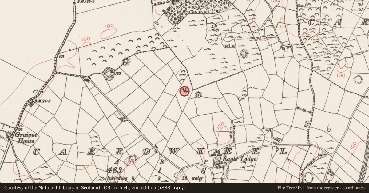 Ordnance Survey six-inch map, 2nd edition (1888–1915) covering the location of Ringfort - rath, Carrowkeel, County Sligo, with a pin at the register's coordinates