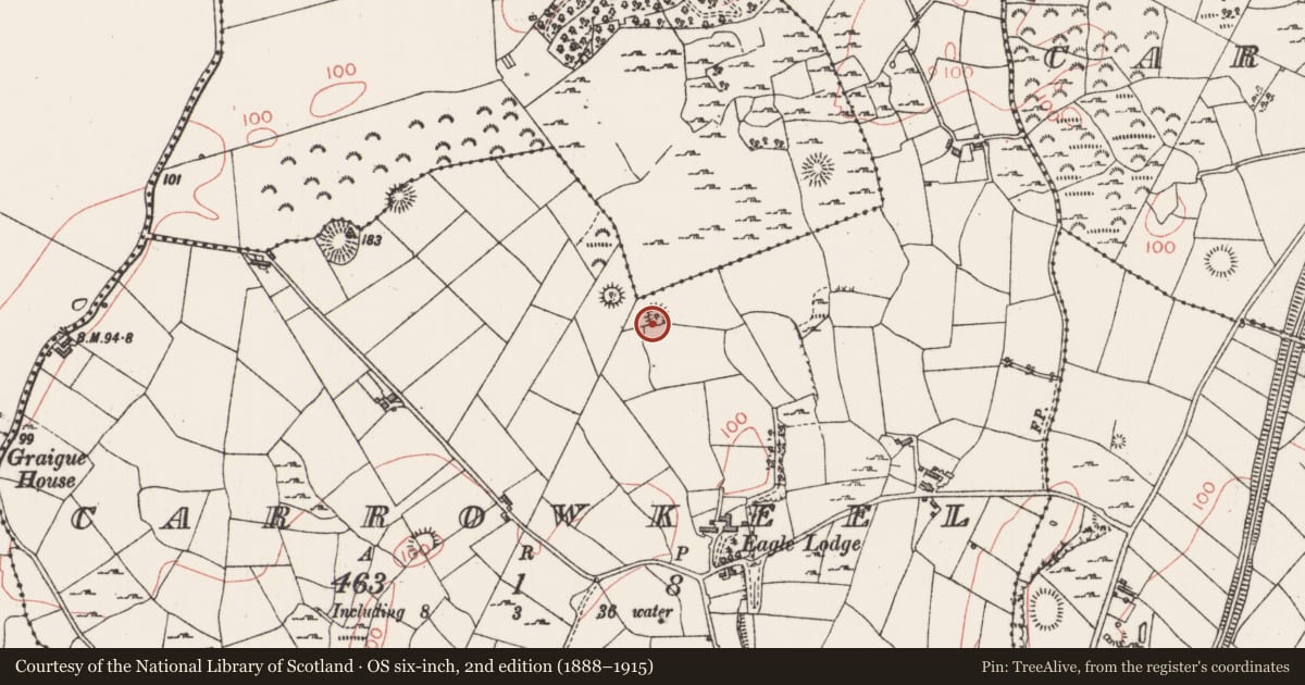 Ordnance Survey six-inch map, 2nd edition (1888–1915) covering the location of Ringfort - rath, Carrowkeel, County Sligo, with a pin at the register's coordinates