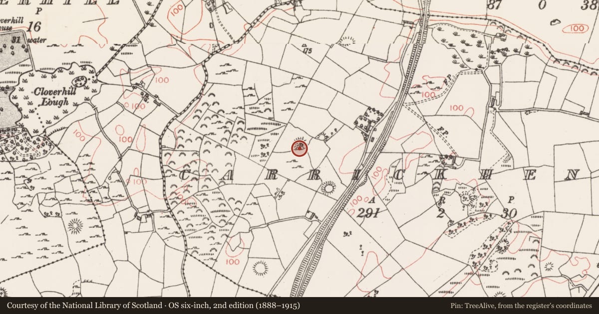Ordnance Survey six-inch map, 2nd edition (1888–1915) covering the location of Ringfort - rath, Carrickhenry, County Sligo, with a pin at the register's coordinates