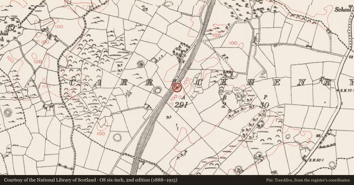 Ordnance Survey six-inch map, 2nd edition (1888–1915) covering the location of Ringfort - rath, Carrickhenry, County Sligo, with a pin at the register's coordinates