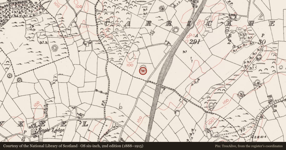 Ordnance Survey six-inch map, 2nd edition (1888–1915) covering the location of Ringfort - rath, Carrickhenry, County Sligo, with a pin at the register's coordinates