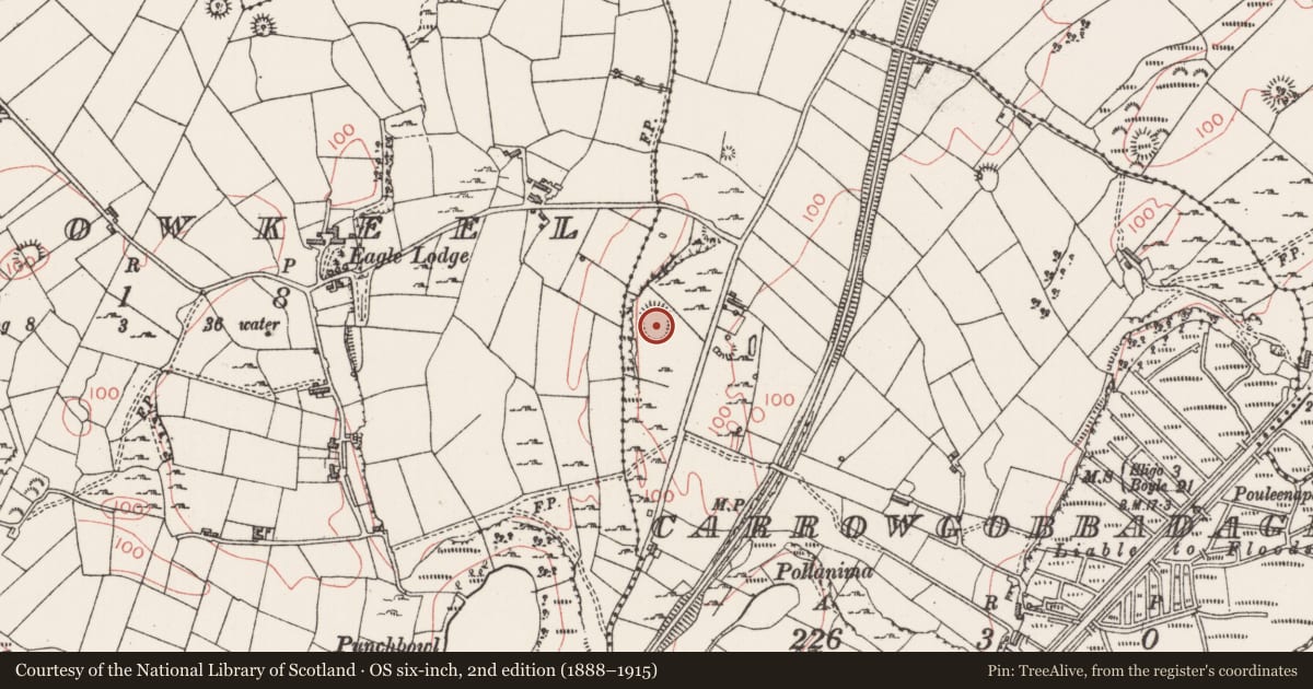 Ordnance Survey six-inch map, 2nd edition (1888–1915) covering the location of Enclosure, Carrowgobbadagh, County Sligo, with a pin at the register's coordinates