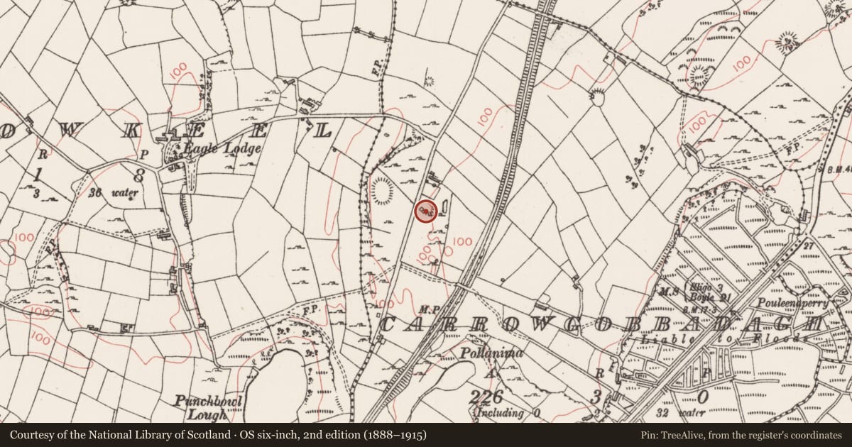 Ordnance Survey six-inch map, 2nd edition (1888–1915) covering the location of Enclosure, Carrowgobbadagh, County Sligo, with a pin at the register's coordinates