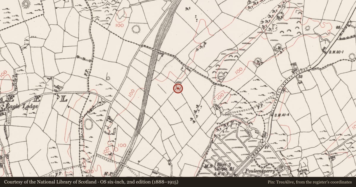 Ordnance Survey six-inch map, 2nd edition (1888–1915) covering the location of Ringfort - rath, Carrowgobbadagh, County Sligo, with a pin at the register's coordinates