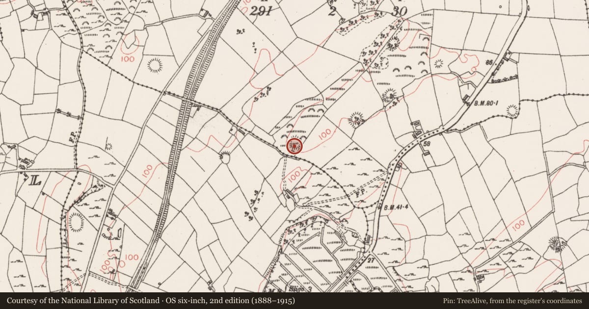 Ordnance Survey six-inch map, 2nd edition (1888–1915) covering the location of Enclosure, Carrickhenry, County Sligo, with a pin at the register's coordinates