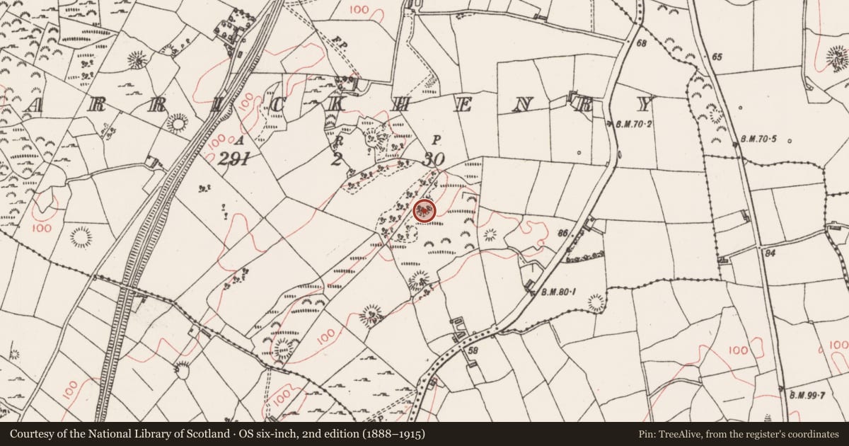 Ordnance Survey six-inch map, 2nd edition (1888–1915) covering the location of Souterrain, Carrickhenry, County Sligo, with a pin at the register's coordinates