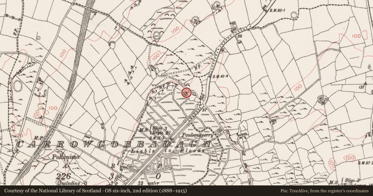 Ordnance Survey six-inch map, 2nd edition (1888–1915) covering the location of Ringfort - unclassified, Carrowgobbadagh, County Sligo, with a pin at the register's coordinates