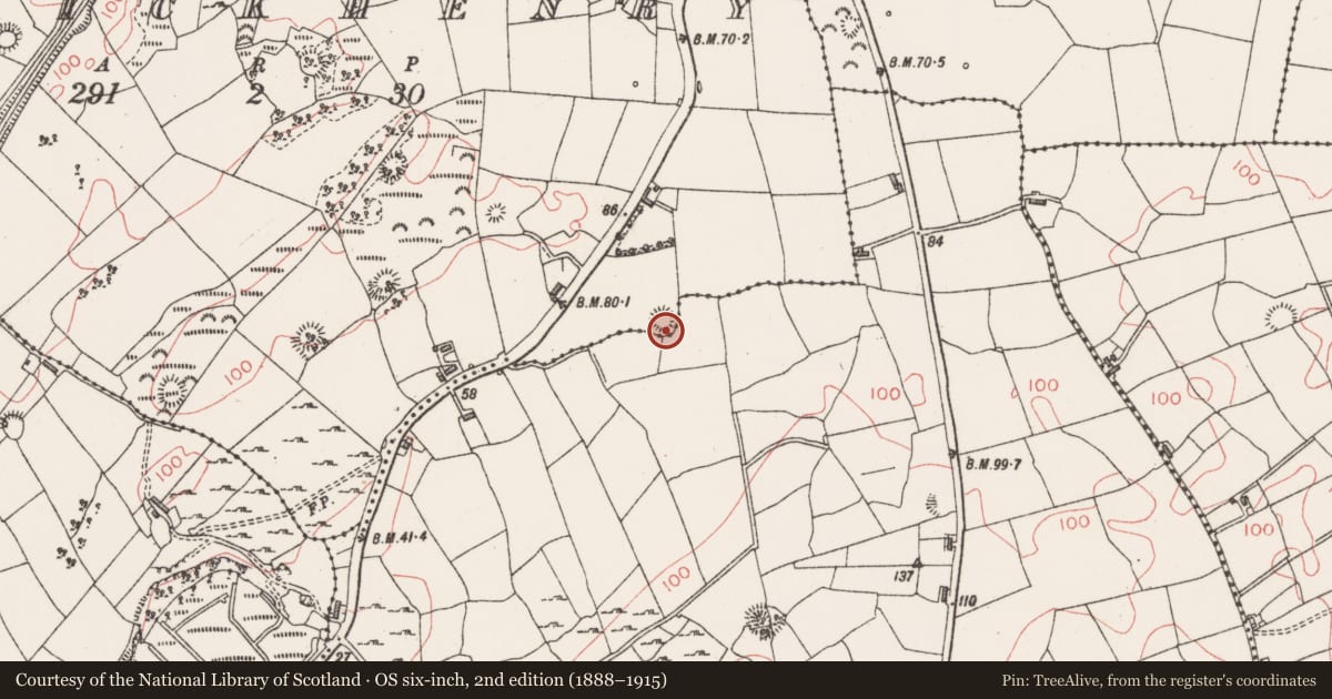 Ordnance Survey six-inch map, 2nd edition (1888–1915) covering the location of Enclosure, Carrickhenry, County Sligo, with a pin at the register's coordinates