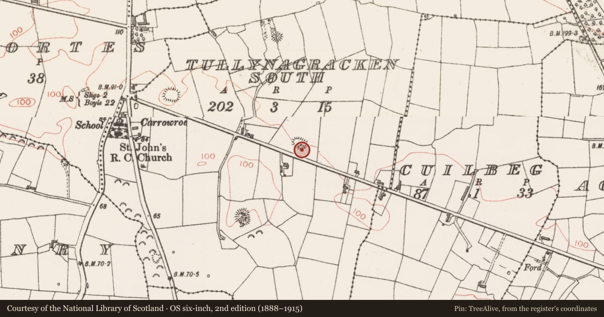 Ordnance Survey six-inch map, 2nd edition (1888–1915) covering the location of Hut site, Tullynagracken South, County Sligo, with a pin at the register's coordinates