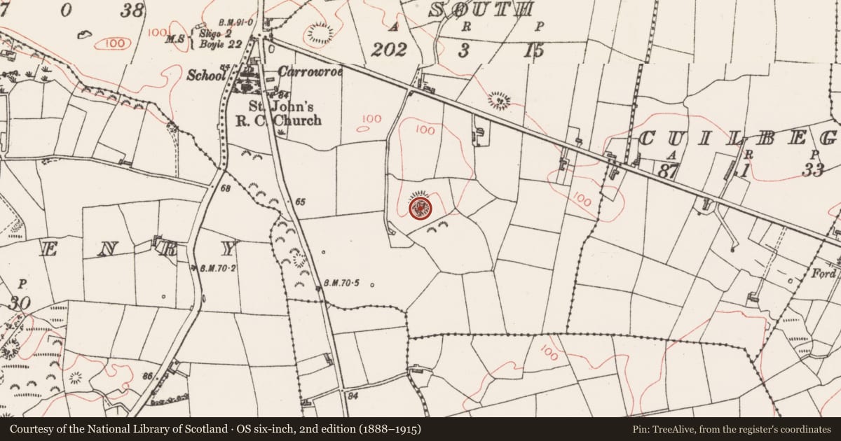 Ordnance Survey six-inch map, 2nd edition (1888–1915) covering the location of Ringfort - rath, Tullynagracken South, County Sligo, with a pin at the register's coordinates