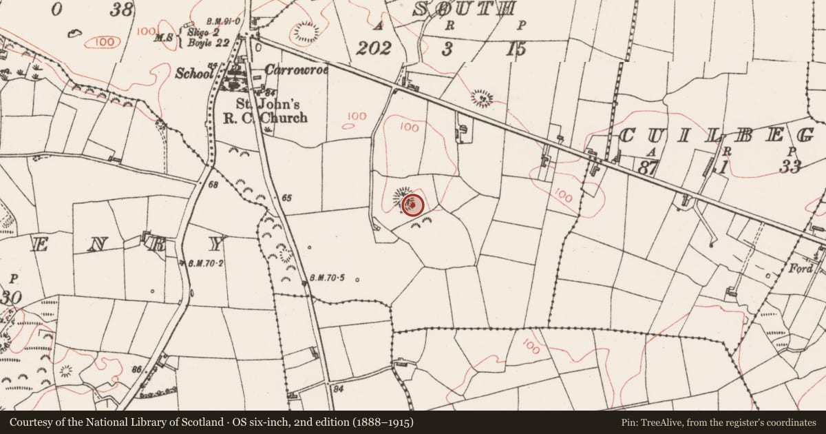 Ordnance Survey six-inch map, 2nd edition (1888–1915) covering the location of Enclosure, Tullynagracken South, County Sligo, with a pin at the register's coordinates